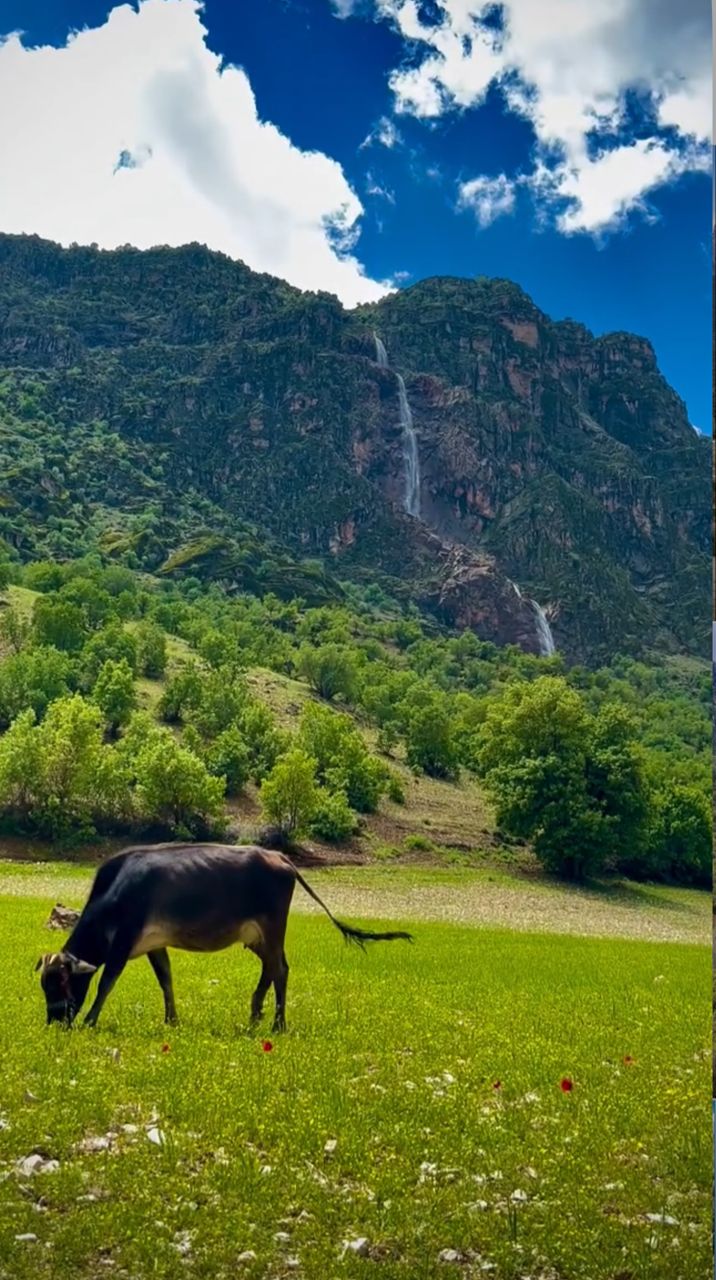 آبشار برنجه