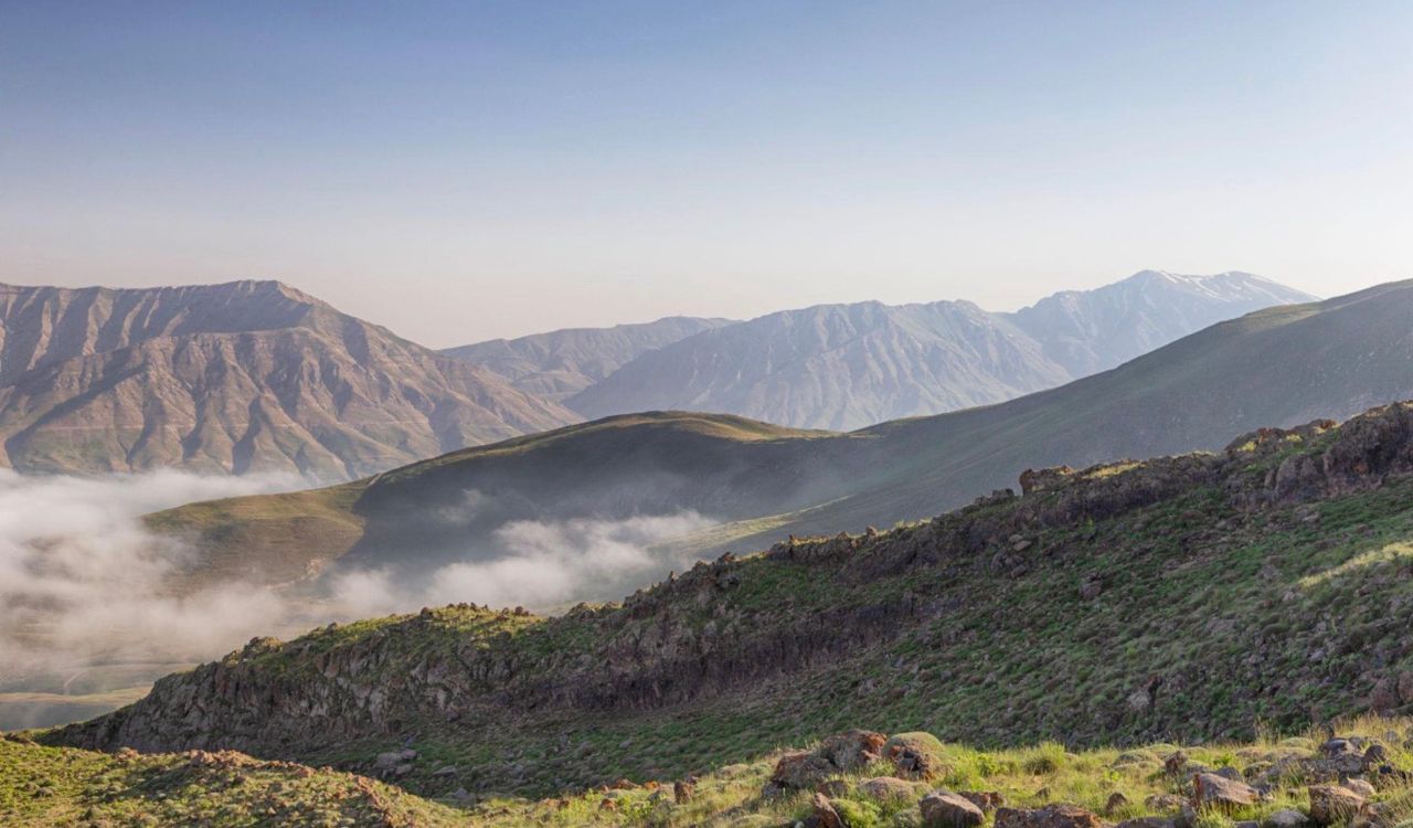 قالی کوه