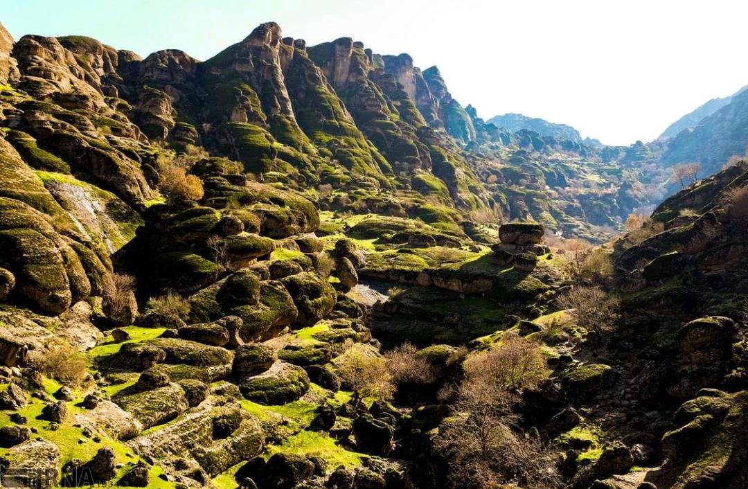 مخمل کوه